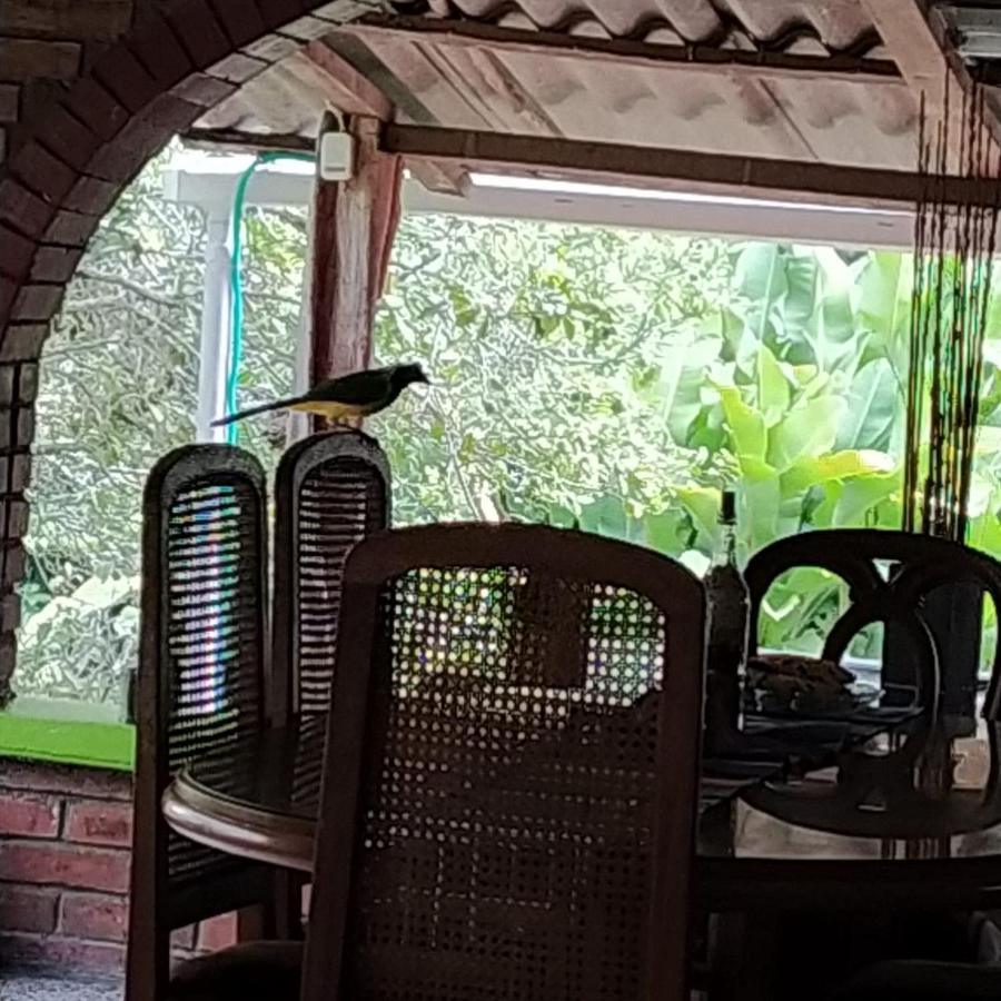 La Acuarela, Posada De La Monita Pereira Buitenkant foto