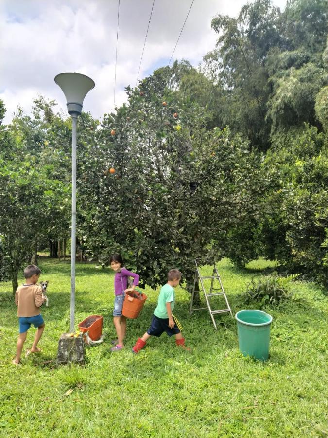 La Acuarela, Posada De La Monita Pereira Buitenkant foto
