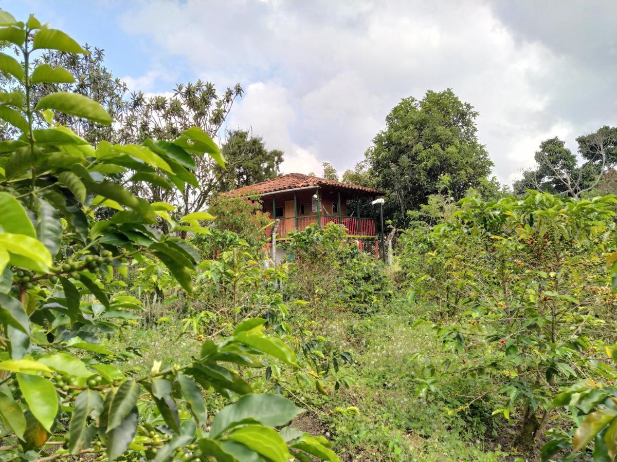 La Acuarela, Posada De La Monita Pereira Buitenkant foto