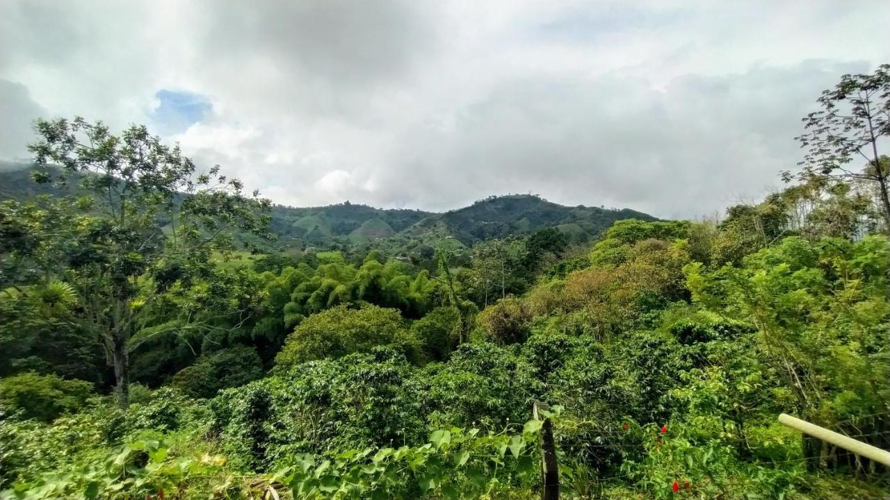 La Acuarela, Posada De La Monita Pereira Buitenkant foto