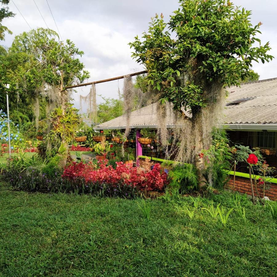 La Acuarela, Posada De La Monita Pereira Buitenkant foto
